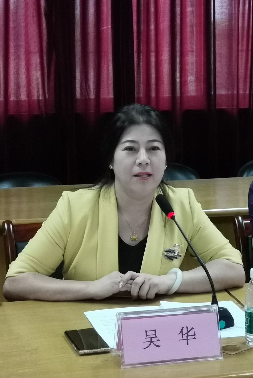 6东莞市中小学教师发展中心校本研训指导部(重大项目办)吴华主任发言.jpg